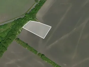 Prodej podílu pole, Netřebice, 810 m2