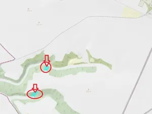 Prodej lesa, Vysoká, 5445 m2