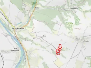 Prodej lesa, Vysoká, 5445 m2