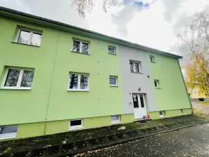 Prodej bytu 1+1, Bor, 32 m2