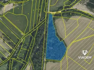 Prodej podílu lesa, Krchleby, 414 m2