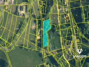 Prodej podílu lesa, Zlatá Olešnice, 963 m2