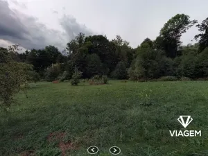 Prodej podílu lesa, Zlatá Olešnice, 963 m2