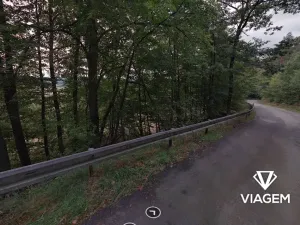 Prodej lesa, Milenov, 820 m2