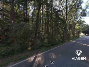 Prodej podílu lesa, Plasy, 478 m2