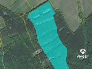 Prodej podílu lesa, Bánov, 76973 m2