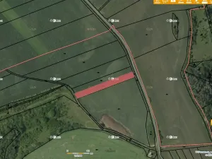 Prodej louky, Letovice, 34048 m2