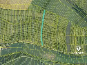 Prodej pole, Morkůvky, 4651 m2