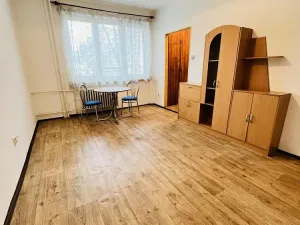 Pronájem bytu 1+kk, Ostrava - Poruba, Mongolská, 24 m2
