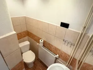 Prodej chalupy, Nová Včelnice, 220 m2