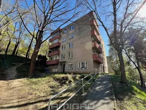 Prodej bytu 2+1, Brno, Podlesí, 53 m2