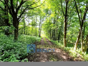 Prodej rodinného domu, Trutnov - Babí, 320 m2