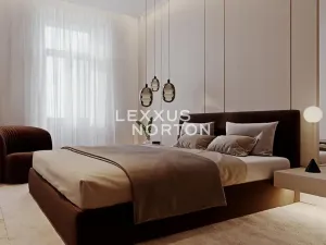 Prodej bytu 2+kk, Praha - Nové Město, Wenzigova, 41 m2