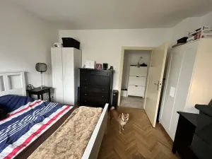 Pronájem bytu 3+1, Liberec, Wintrova, 65 m2