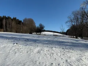 Prodej chalupy, Sněžné, 200 m2