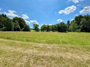 Prodej chalupy, Sněžné, 200 m2