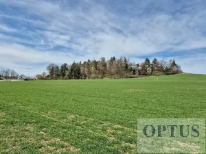 Prodej pozemku pro bydlení, Neveklov, 3385 m2