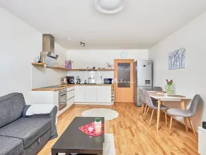 Prodej bytu 2+kk, České Budějovice, Holečkova, 56 m2