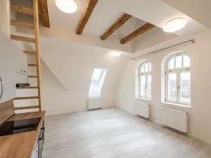 Pronájem bytu 1+kk, Liberec - Liberec III-Jeřáb, Americká, 44 m2