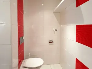 Pronájem bytu 2+1, Chomutov, Stavbařská, 56 m2