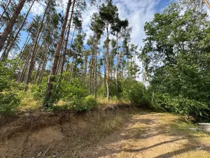 Prodej chaty, Borotice, 49 m2