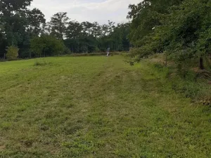 Prodej pozemku pro bydlení, Velké Všelisy, 3638 m2