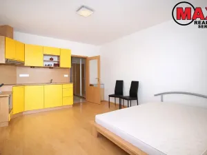 Pronájem bytu 1+kk, Praha - Hloubětín, Nepelova, 35 m2