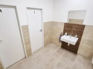 Pronájem komerční nemovitosti, Brno, Sukova, 233 m2