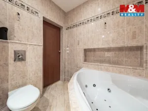 Prodej rodinného domu, Brno, Jílová, 379 m2