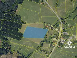 Prodej pole, Nasavrky, 28806 m2