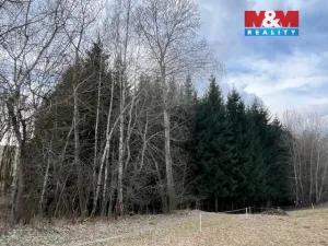 Prodej lesa, Košťálov - Kundratice, 4244 m2