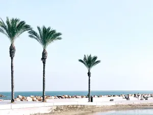 Prodej bytu 4+kk, Torrevieja, Španělsko, 96 m2