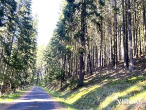 Prodej rodinného domu, Otročín, 260 m2