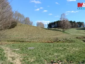 Prodej louky, Janův Důl, 2749 m2