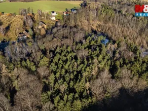 Prodej louky, Višňová - Andělka, 3376 m2