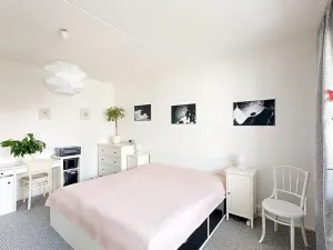 Prodej bytu 2+1, Vysoké Mýto, Českých bratří, 66 m2