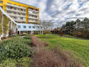 Prodej bytu 1+kk, Praha - Libeň, Březenská, 49 m2