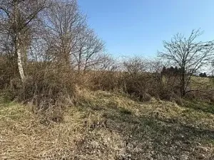 Prodej pozemku, Kostelec u Křížků, 651 m2