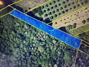 Prodej lesa, Březolupy, 1340 m2