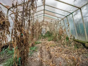 Prodej rodinného domu, Třebusice, 470 m2