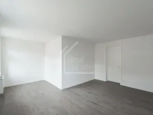 Pronájem bytu 3+kk, Praha - Vinohrady, Třebízského, 120 m2