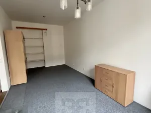 Pronájem bytu 2+kk, Praha - Malá Strana, Petřínská, 38 m2