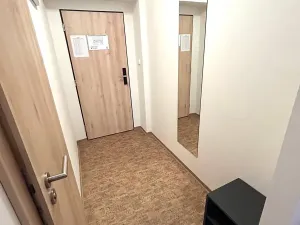 Pronájem bytu 1+kk, Praha - Smíchov, Křížová, 23 m2