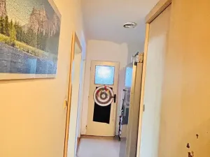 Prodej bytu 3+1, Branná, 83 m2