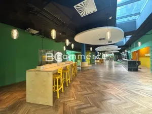 Pronájem kanceláře, Brno, Holandská, 240 m2