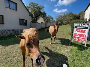 Prodej pozemku pro bydlení, Pašovice, 1279 m2