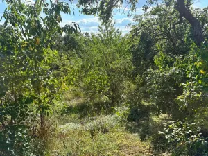 Prodej rodinného domu, Čebín, 250 m2