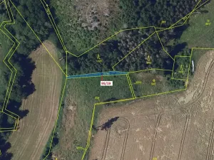 Dražba lesa, Žižkovo Pole, 121 m2