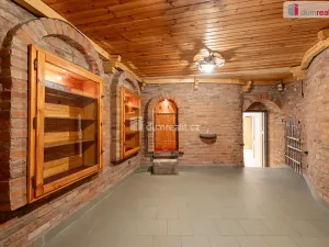 Pronájem obchodního prostoru, Mladá Boleslav, Viničná, 107 m2