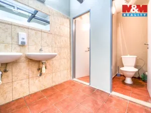 Pronájem restaurace, Plzeň - Jižní Předměstí, Americká, 102 m2